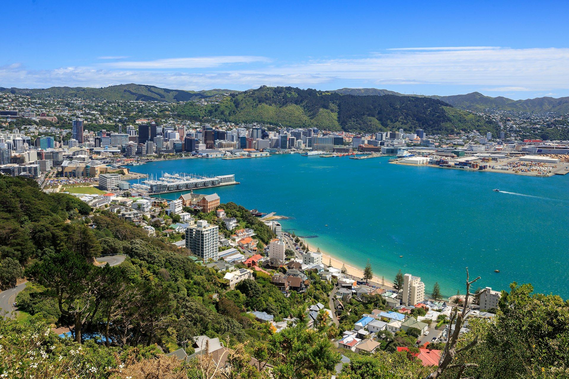 High-angle view of Wellington City harbor and downtown