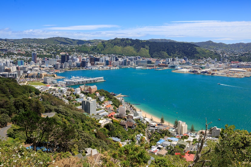 High-angle view of Wellington City harbor and downtown.