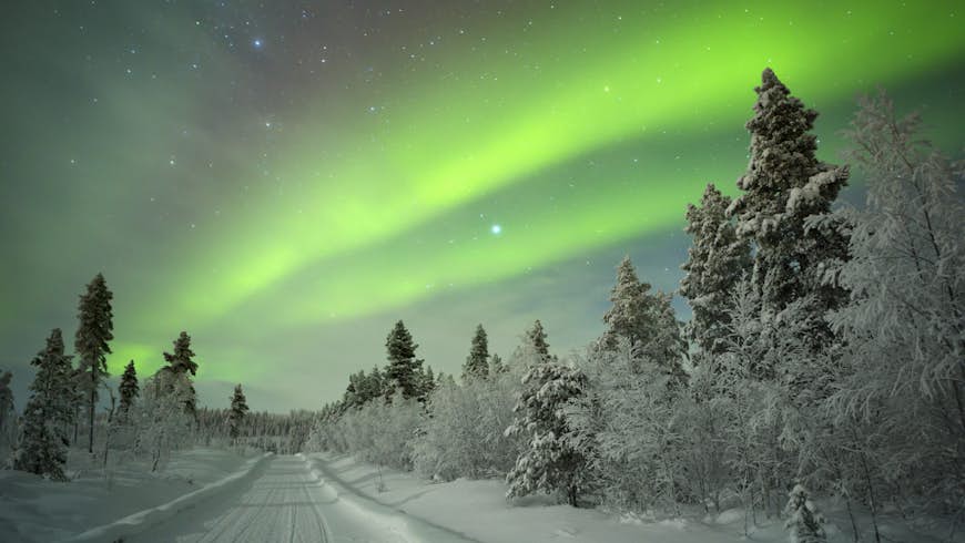 A green light sweeps across the sky above a snow-covered forest in Finnish Lapland