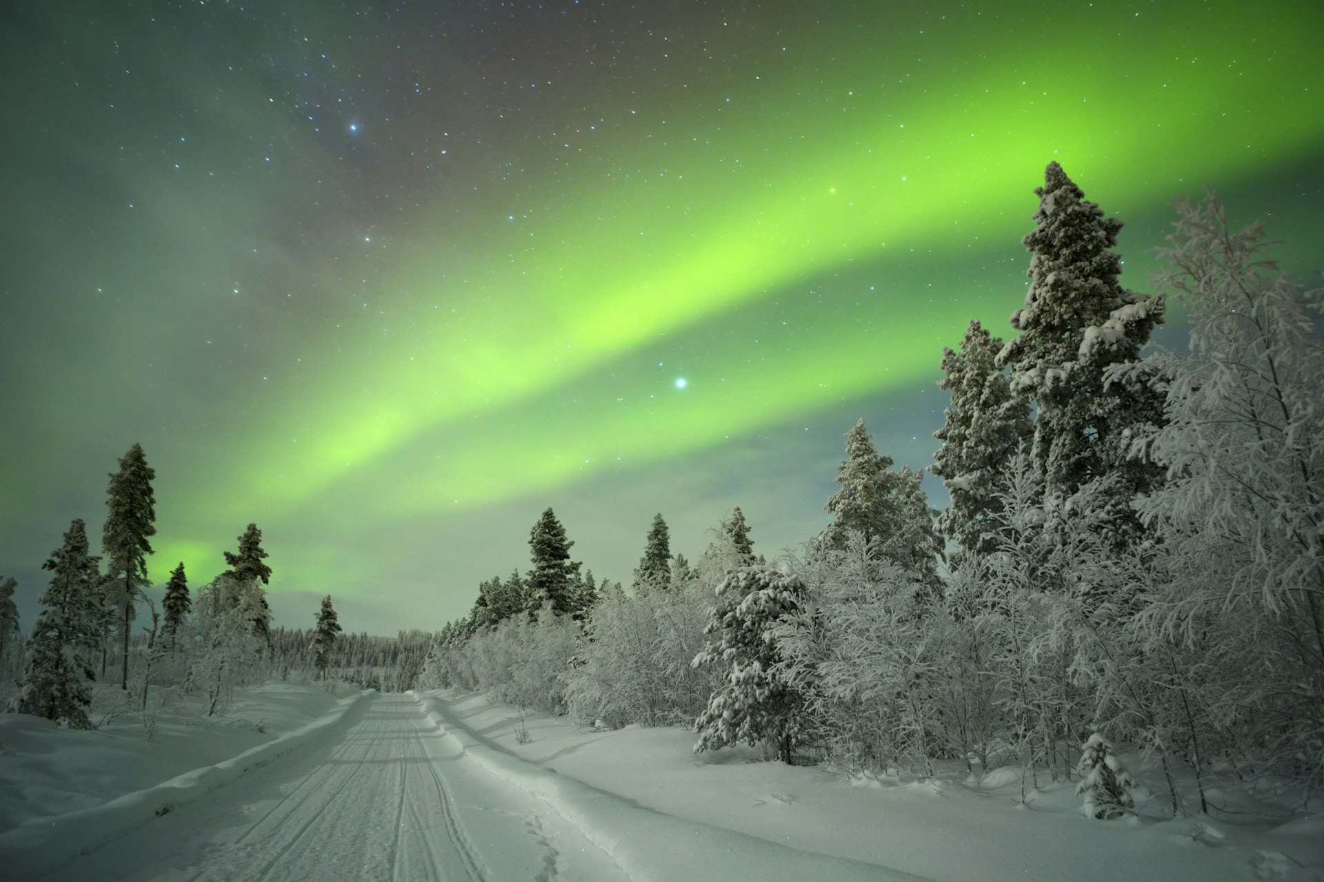 A green light sweeps across the sky above a snow-covered forest in Finnish Lapland