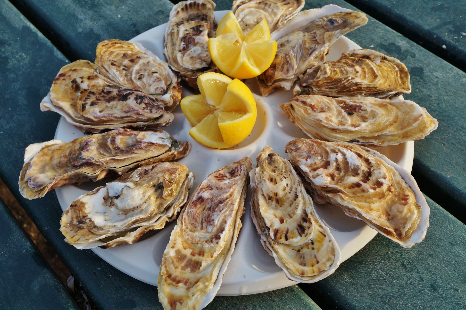 Plate of freshly shucked oysters in Brittany, France