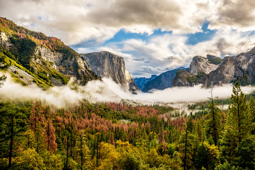 shutterstockRF_583257769.jpg shutterstockRF_583257769.jpg