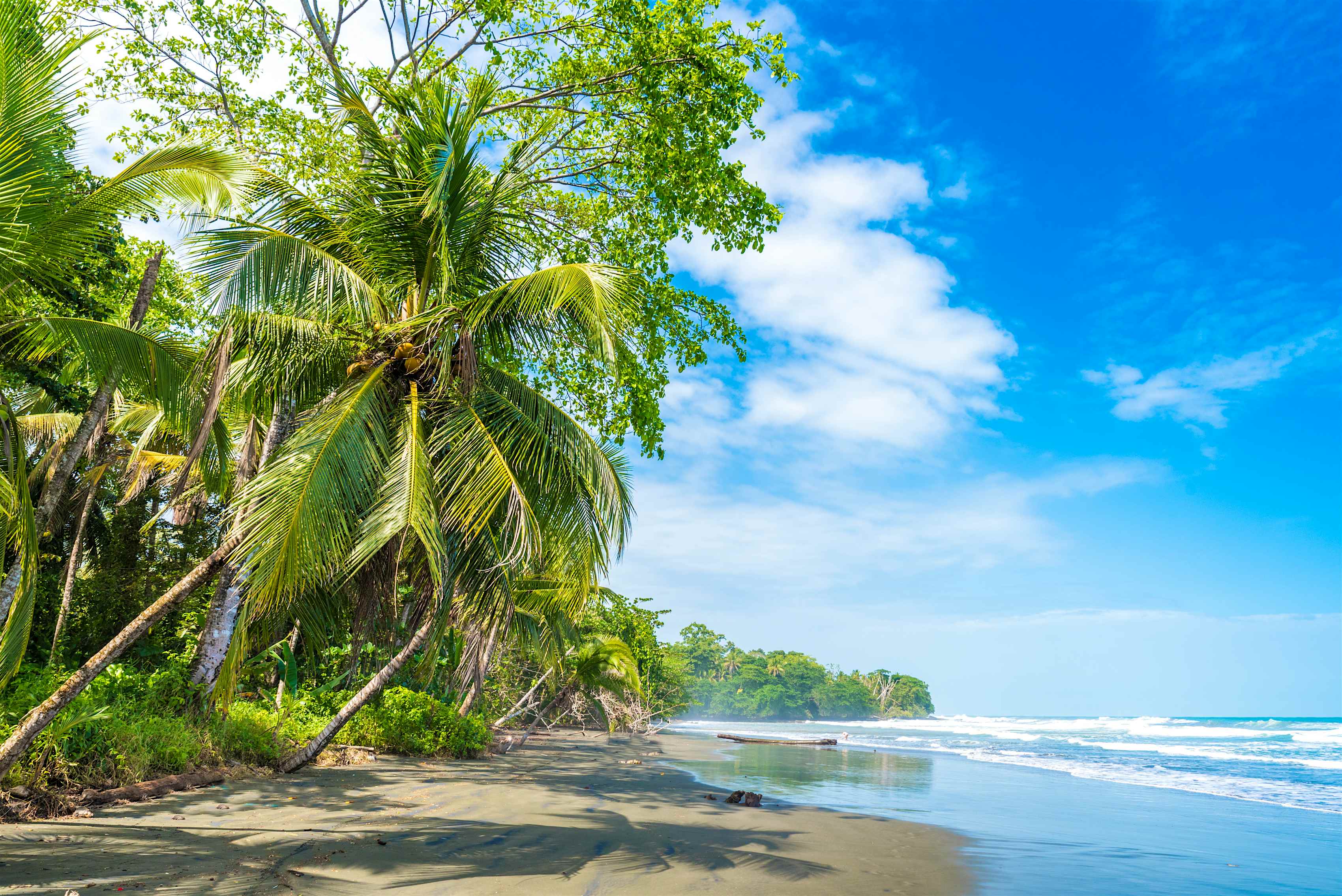 The 12 best beaches in Costa Rica - Lonely Planet