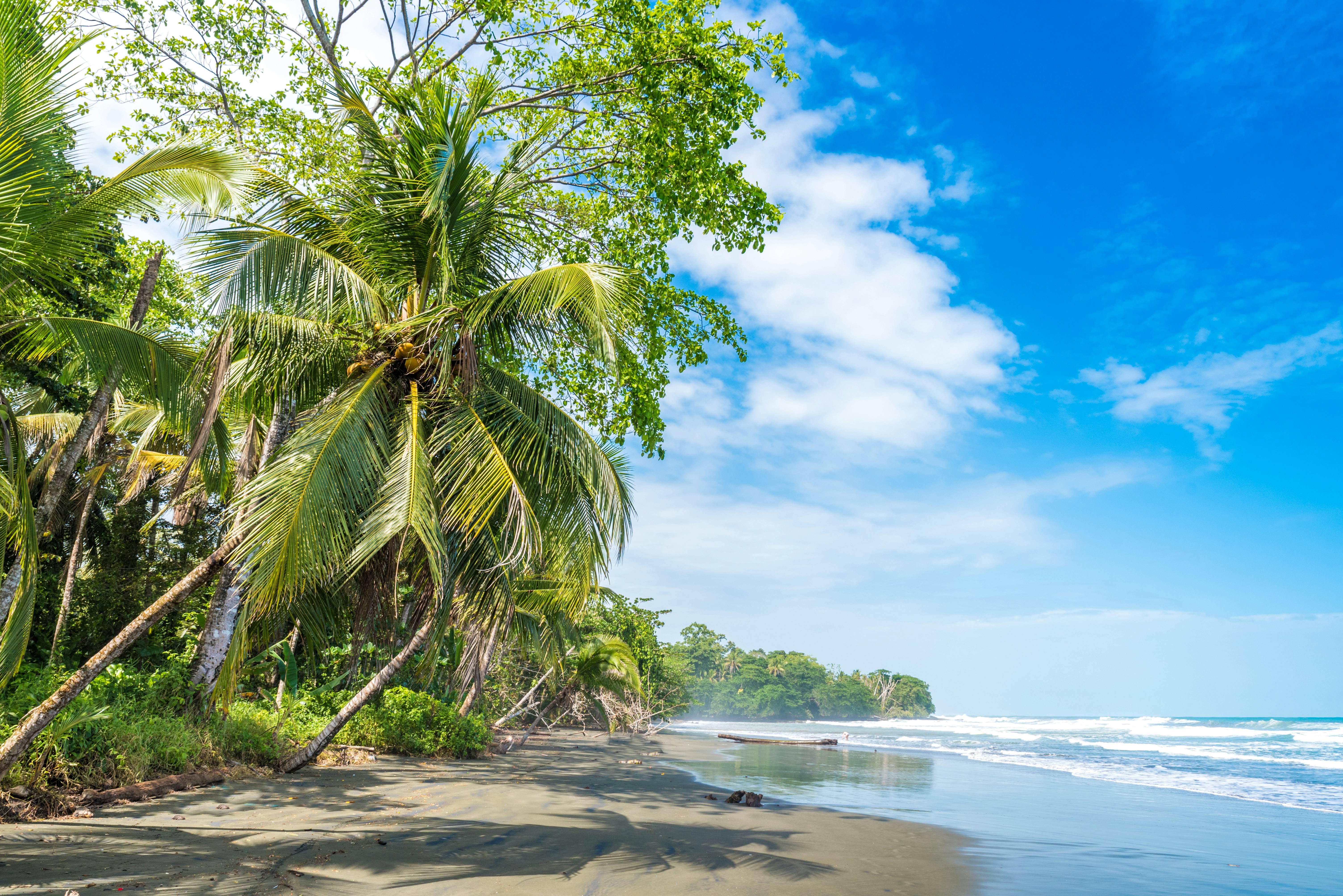 The 12 best beaches in Costa Rica - Lonely Planet