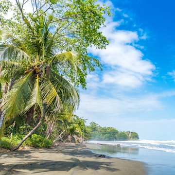Playa Negra at the black beach at Cahuita on the Caribbean coast.