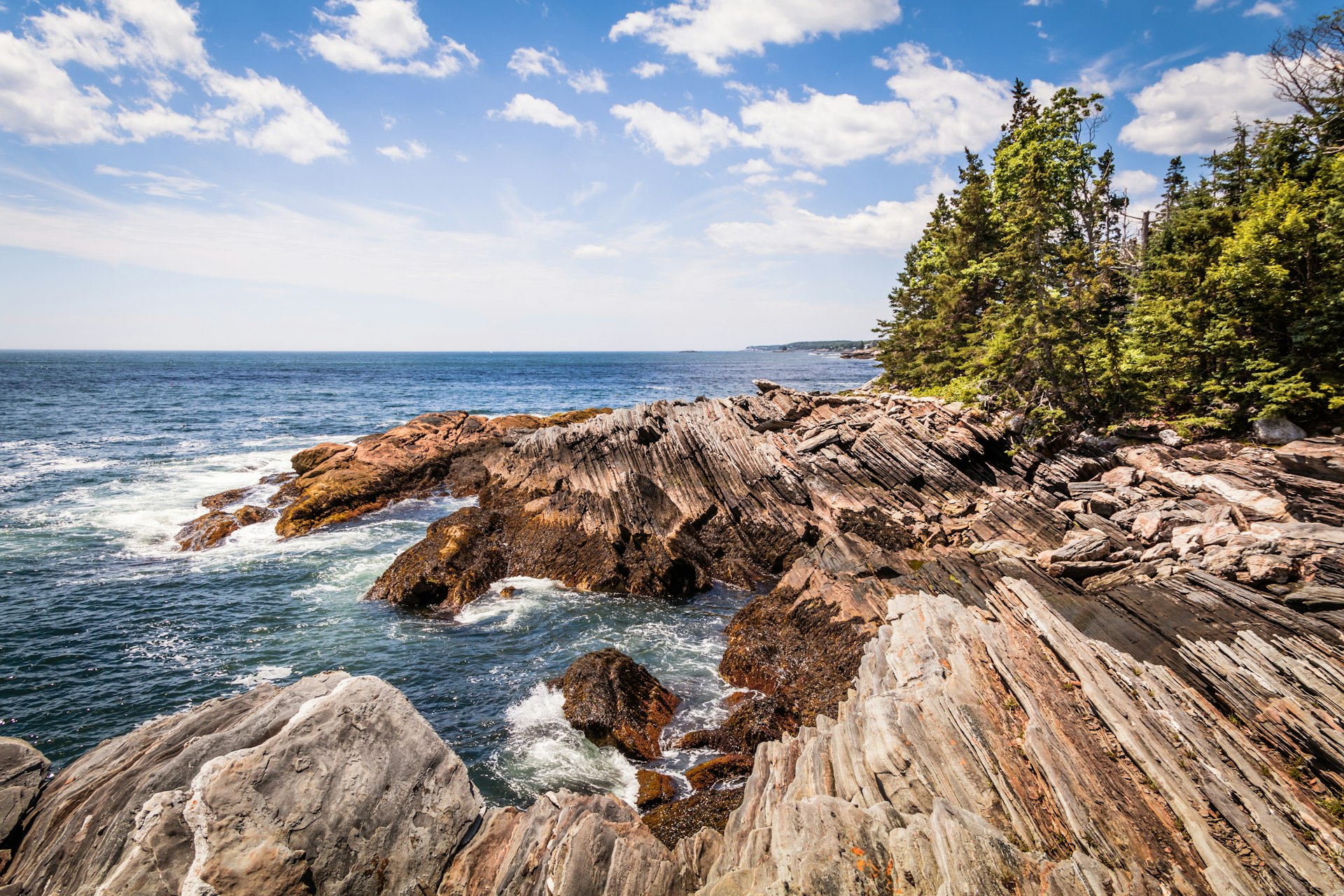 A rocky shoreline is lined with trees. 