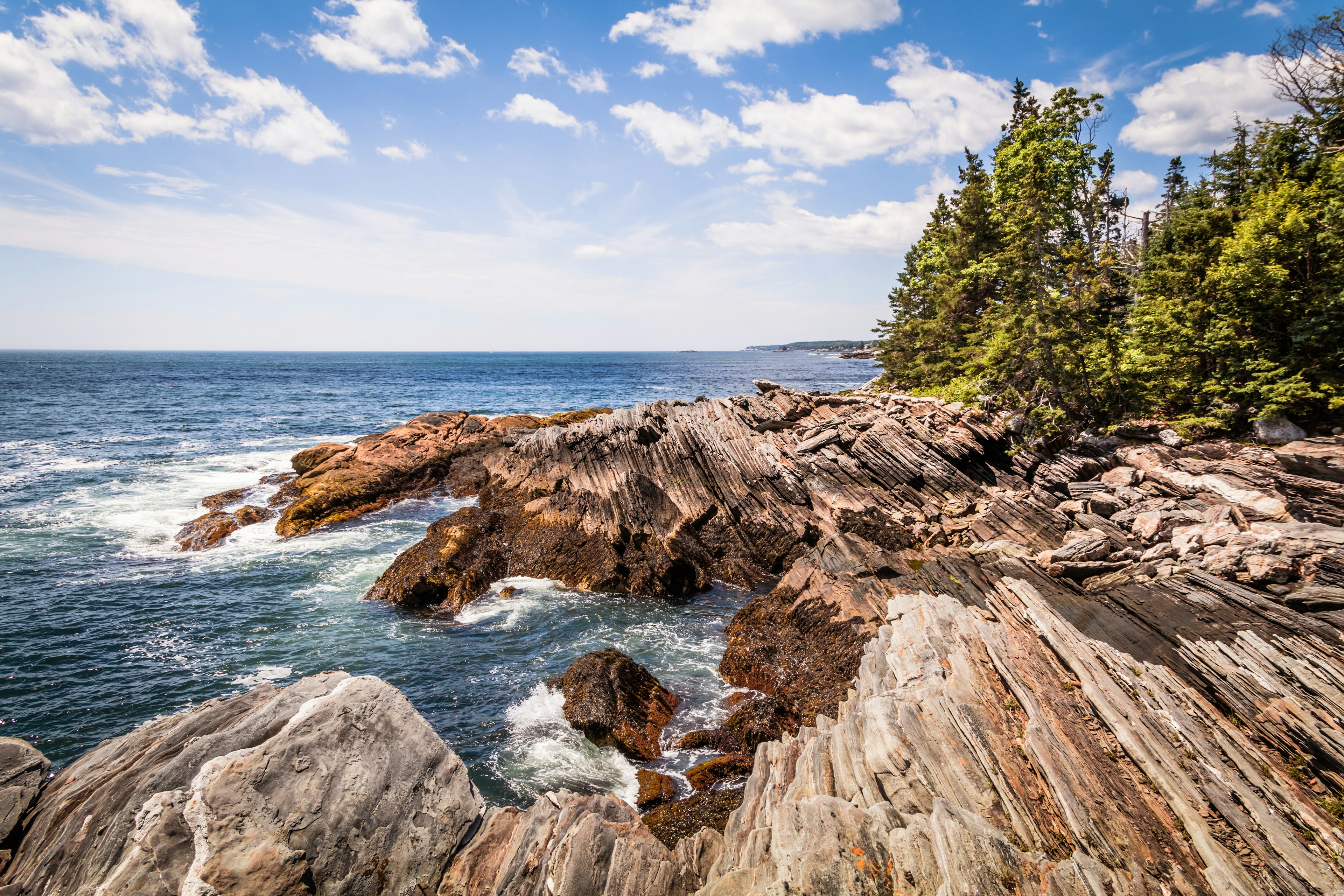 A rocky shoreline is lined with trees.