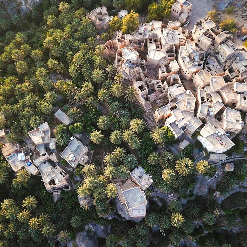 Aerial of an old traditional Omani mud village (Misfat Al Aberyeen) in the mountains among date palm trees.