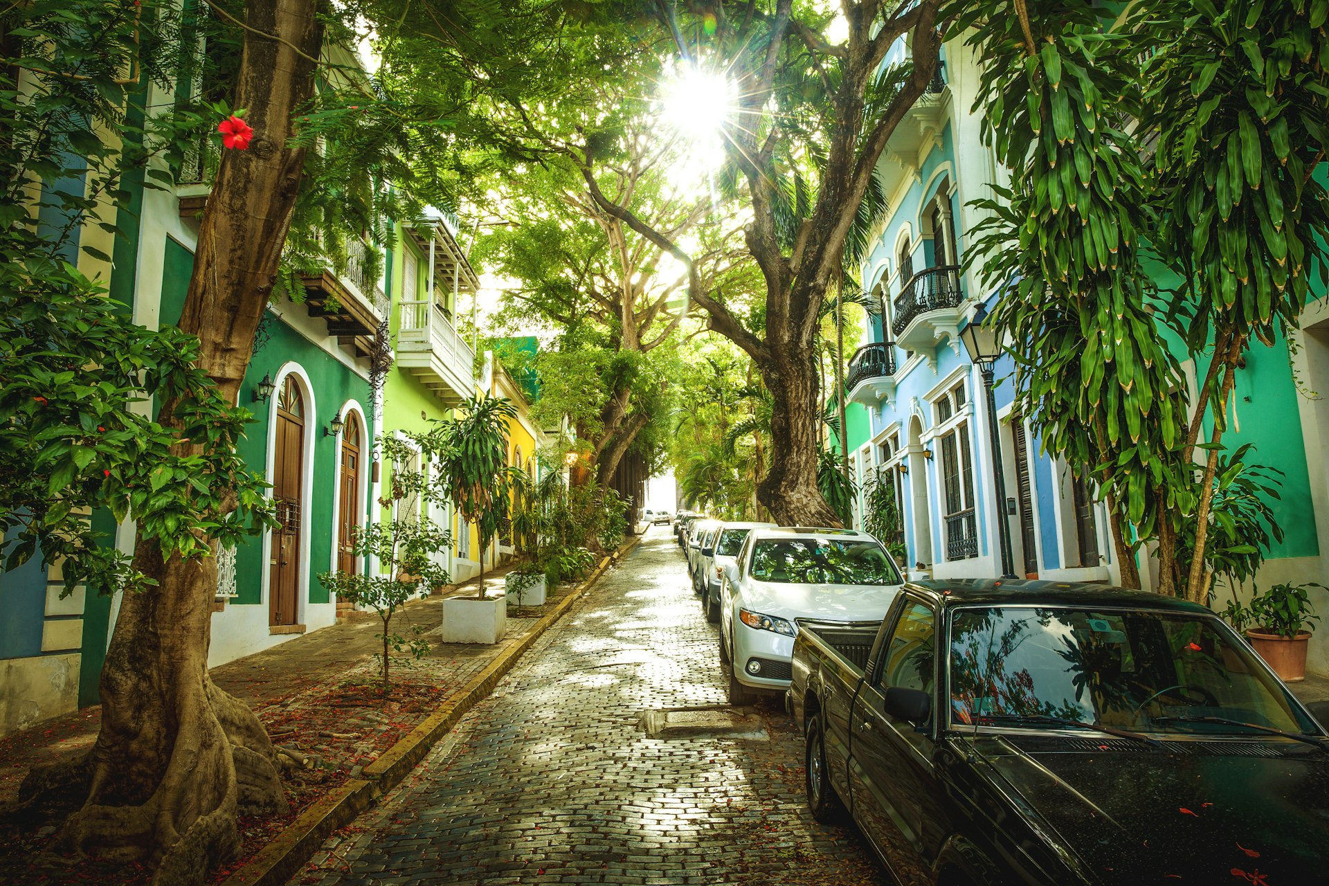 Cobblestone street full of trees and colourful buildings in old San Juan