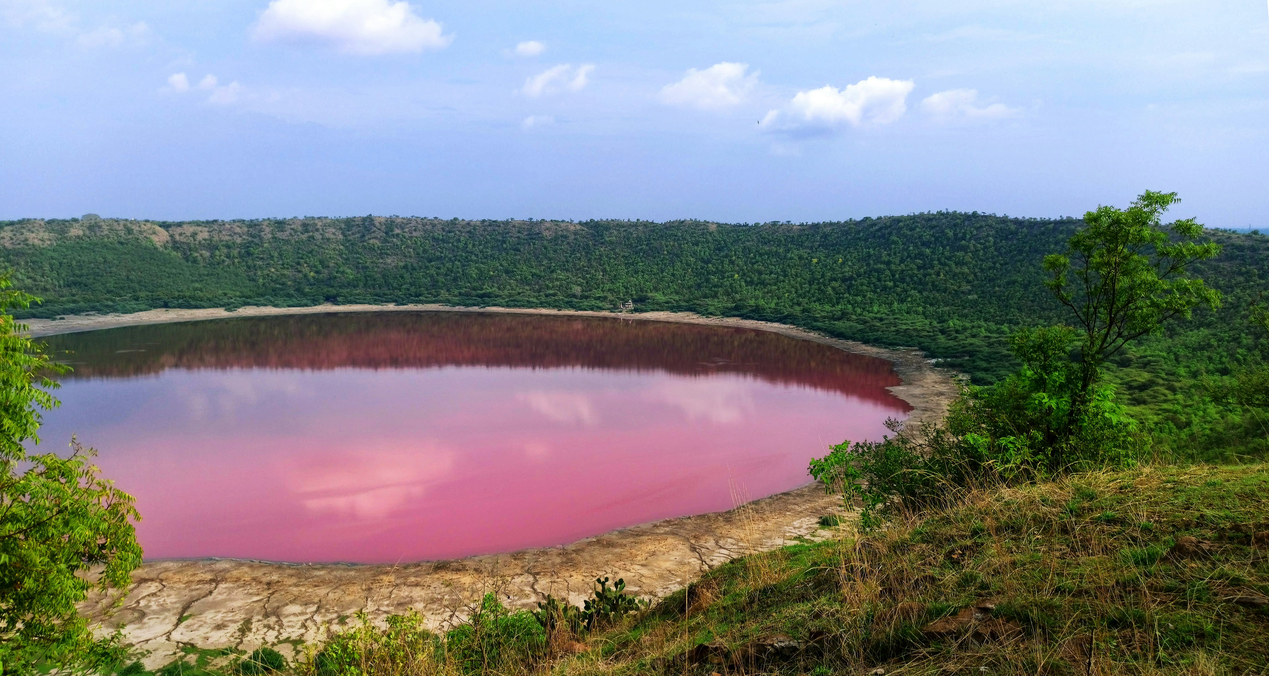 Lonar lake in Buldhana turns pink, Lonar Lake was created by meteorite impact that occurred around 50,000 years ago.jpg