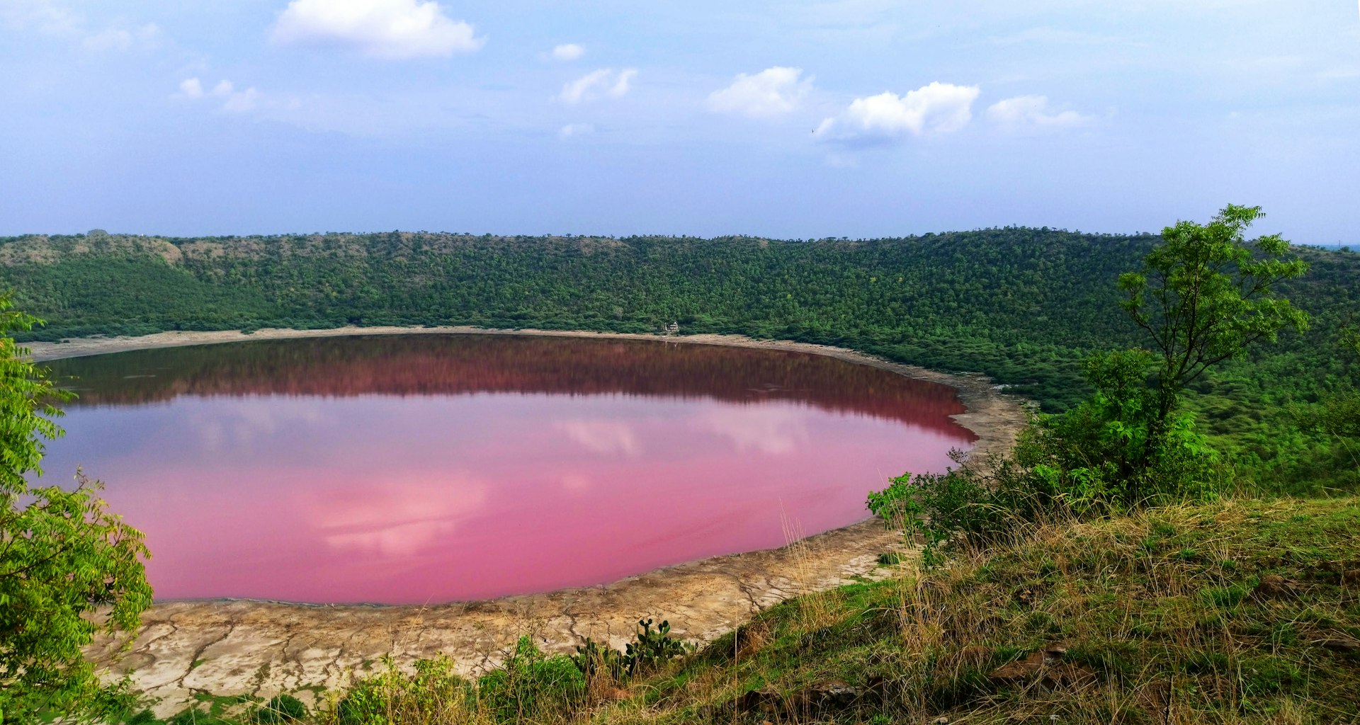 Lonar lake in Buldhana turns pink, Lonar Lake was created by meteorite impact that occurred around 50,000 years ago.jpg