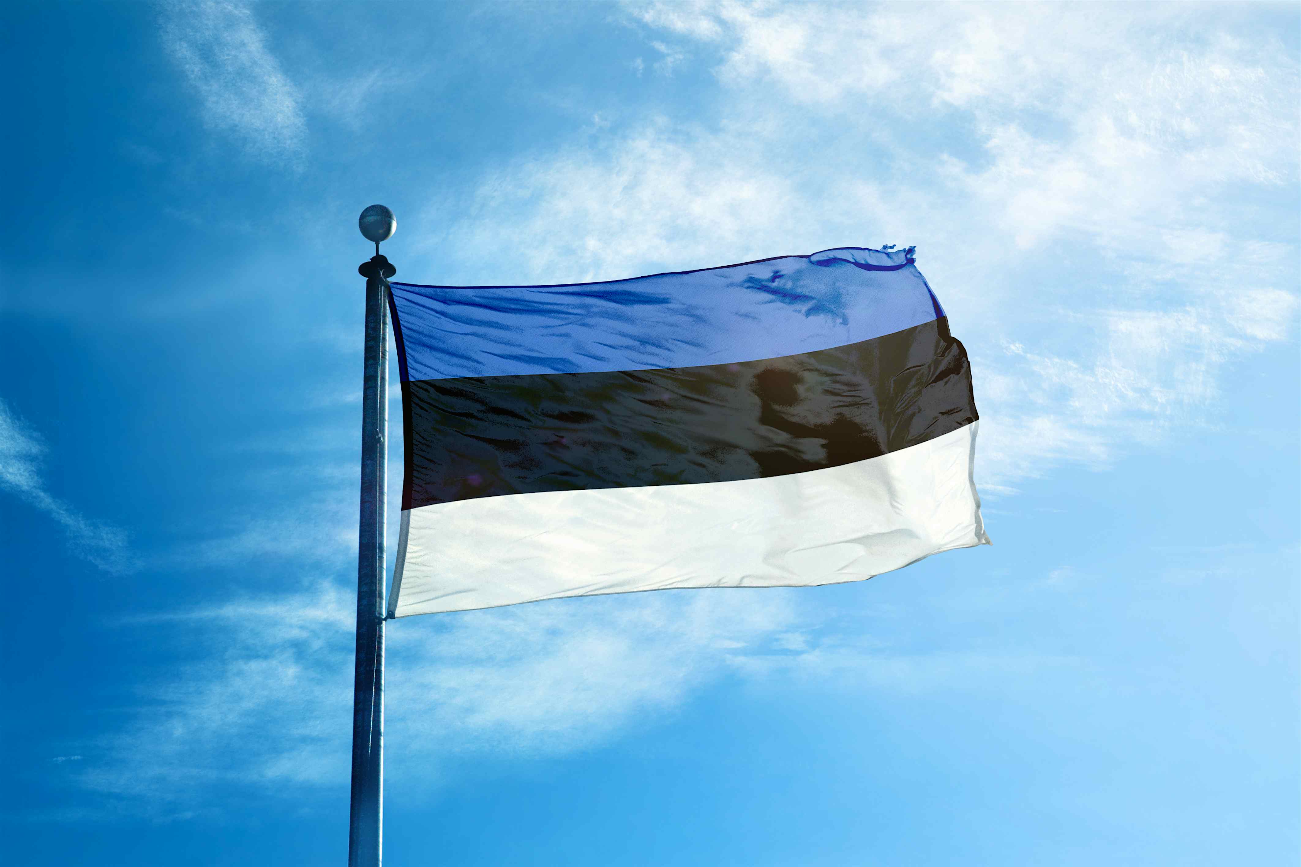 Эстония флаг шенген