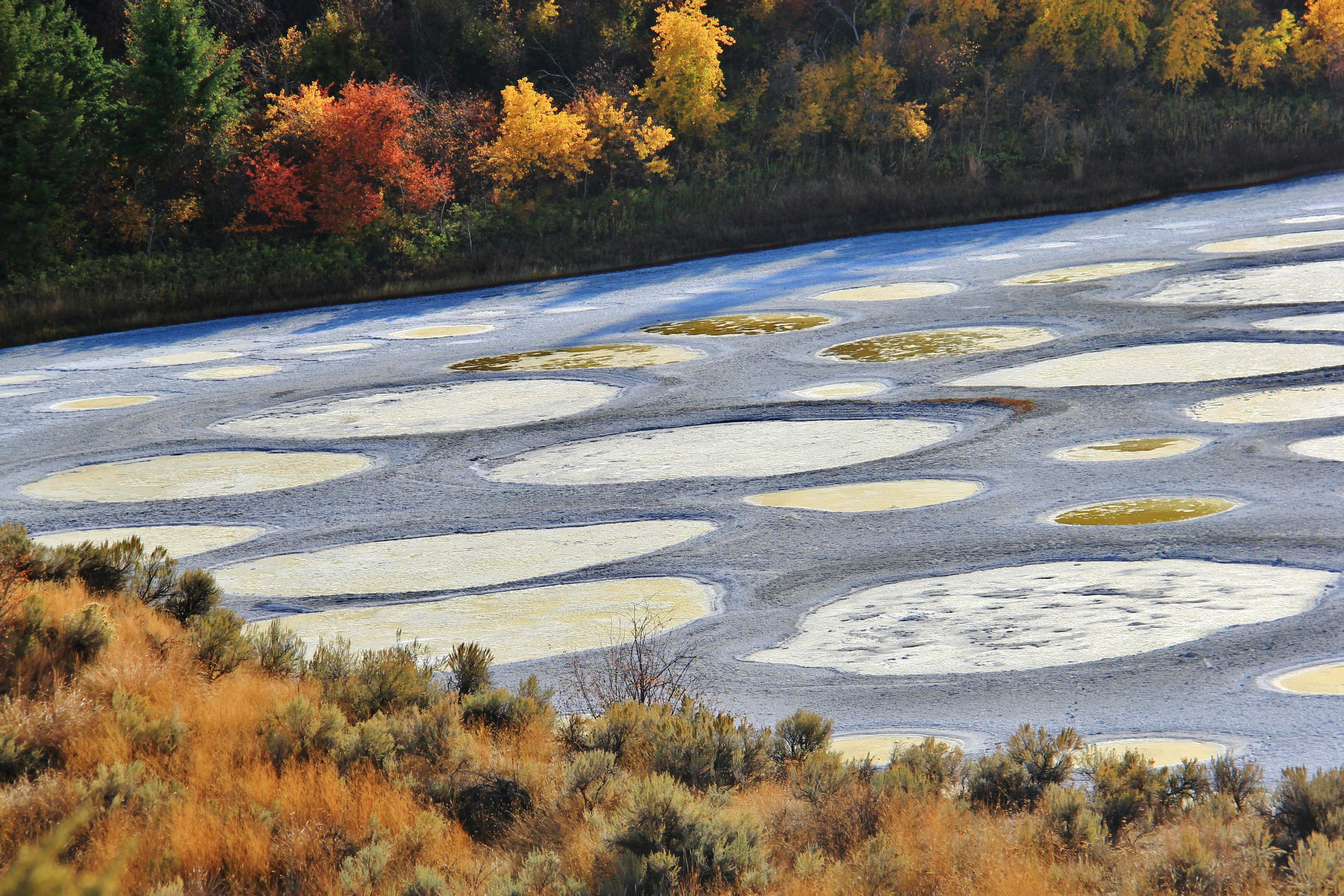 shutterstock_542849176Spotted lake in Okanagan Vallye, Osoyoos, British Columbia. It contains dense deposits of magnesium sulfate, calcium and sodium sulfates. Spotted Lake was for cent.jpg