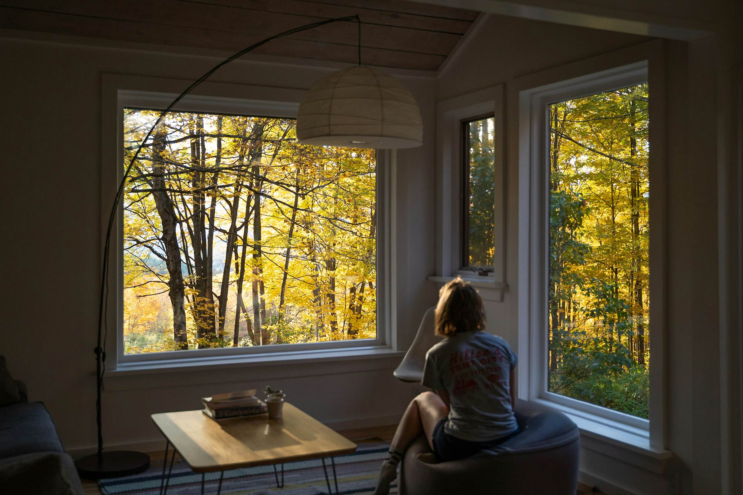 The 12 Best Secluded Cabins To Rent In The Northeast Us Lonely Planet