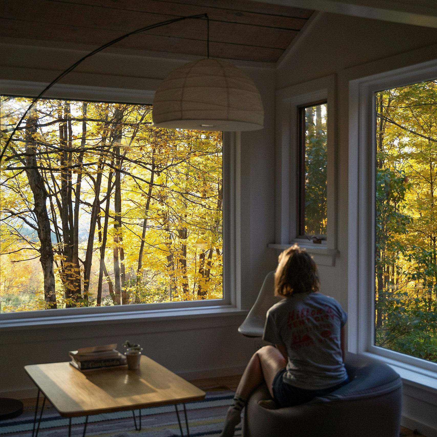 person in silhouette looking out cabin window.jpg
