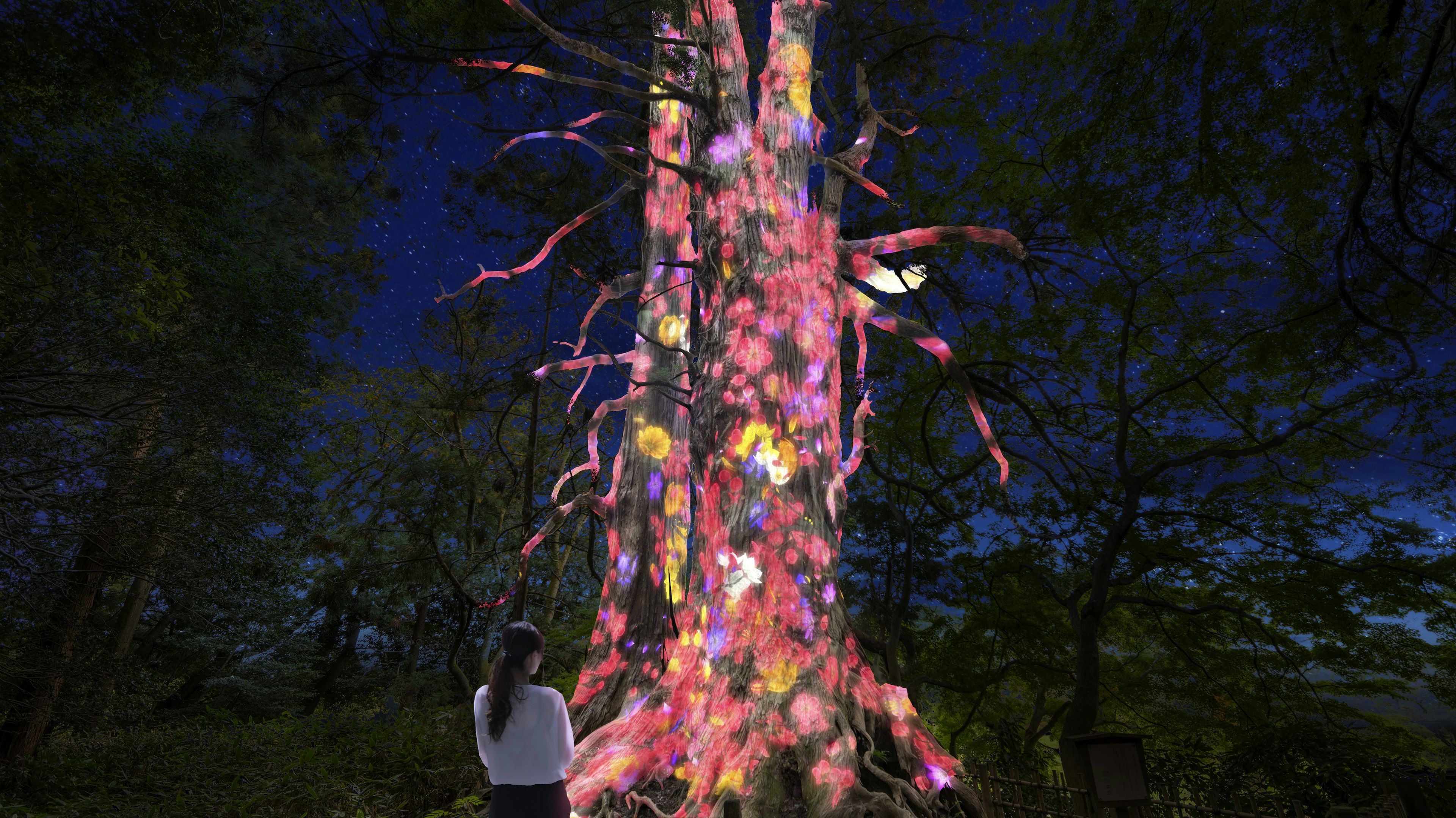 teamLab Digitized Kairakuen Garden