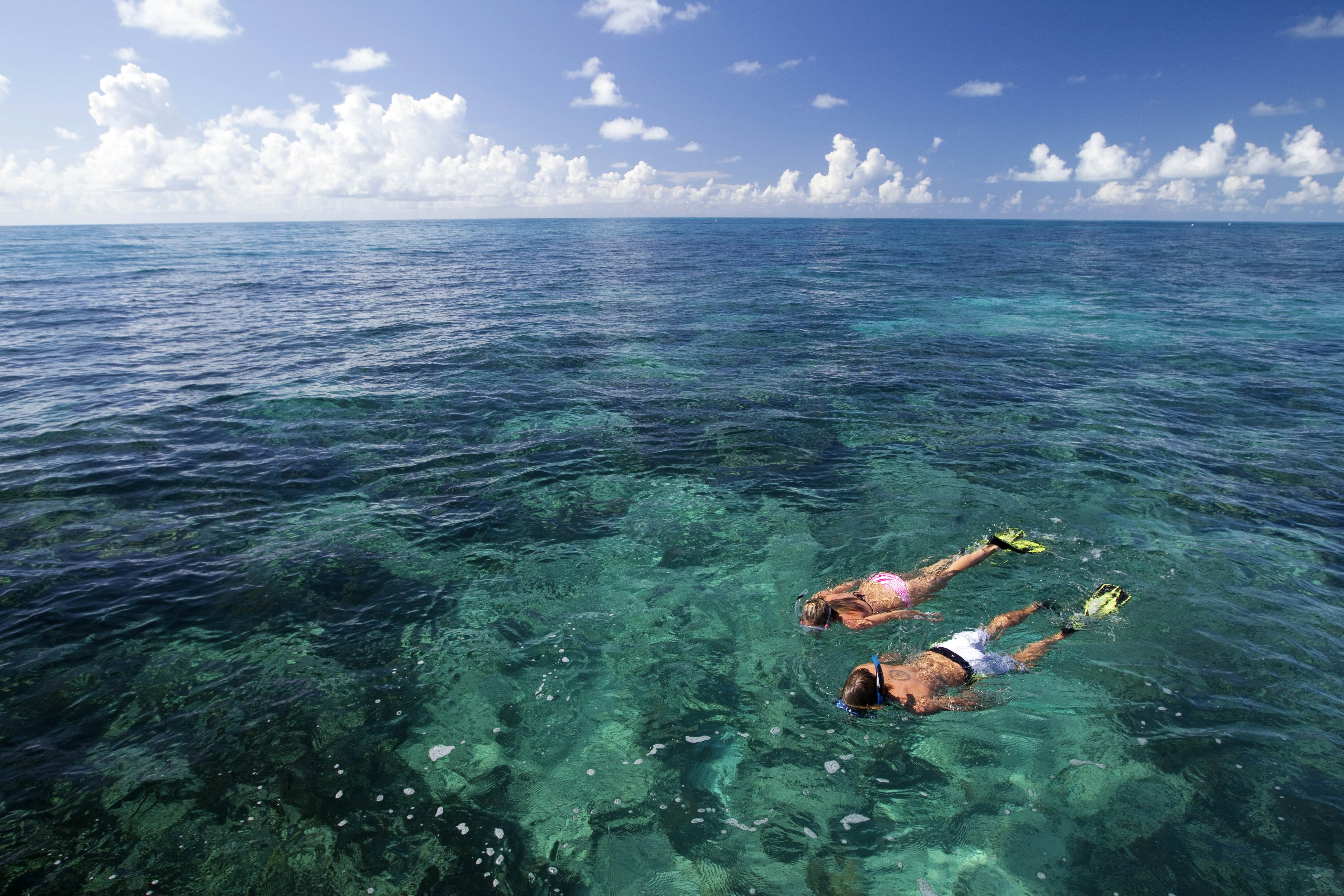 Snorkeling Clearwater Fl - kl5tb20