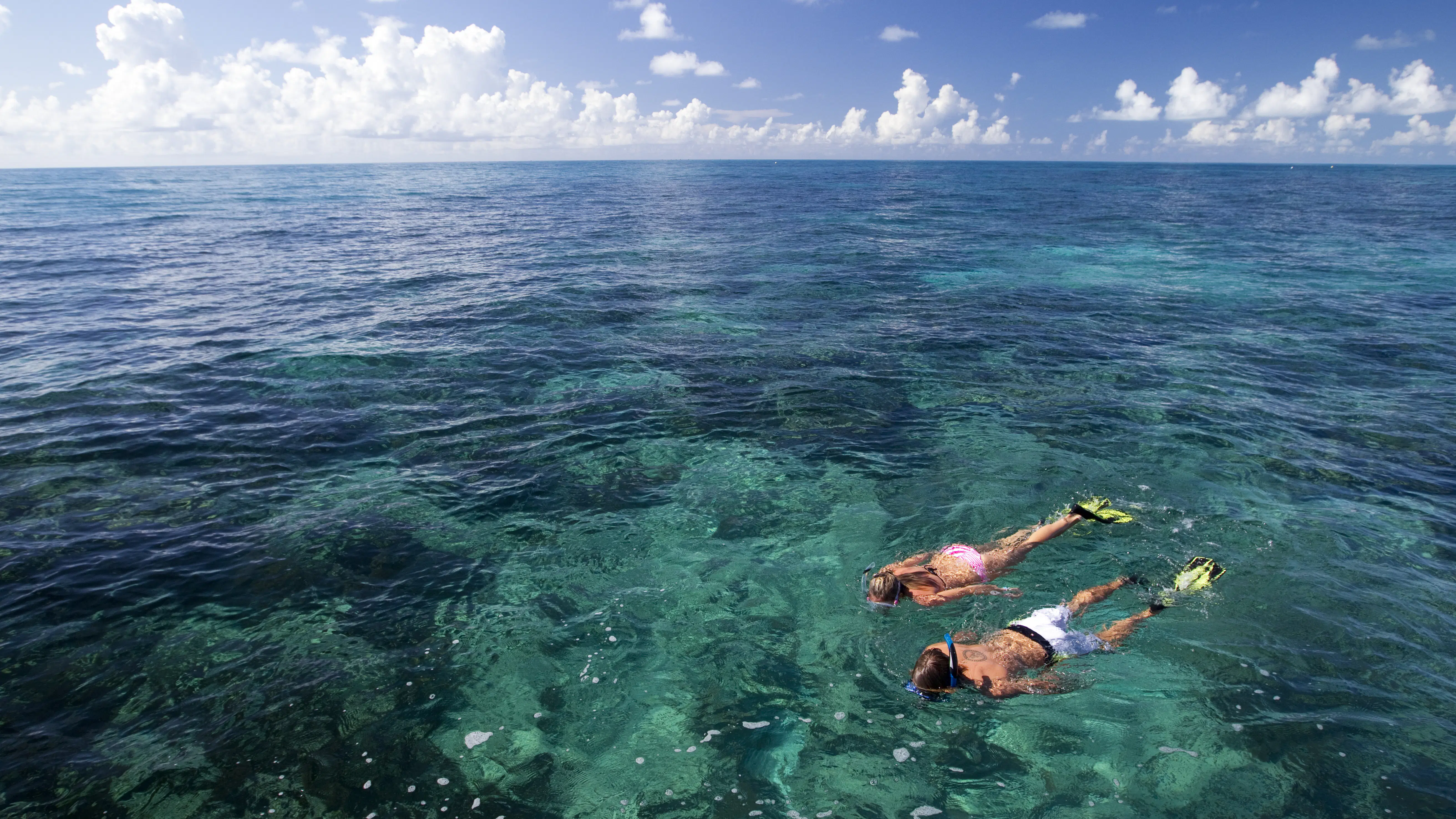 Getting Around In The Florida Keys Lonely Planet getting-around-in-the-florida-keys-lonely-planet
