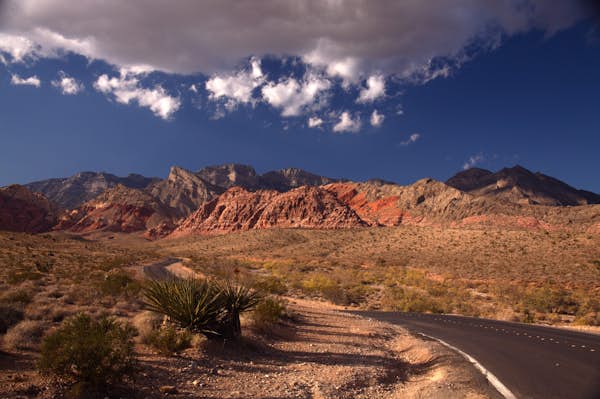 The 8 best parks in Las Vegas - Lonely Planet