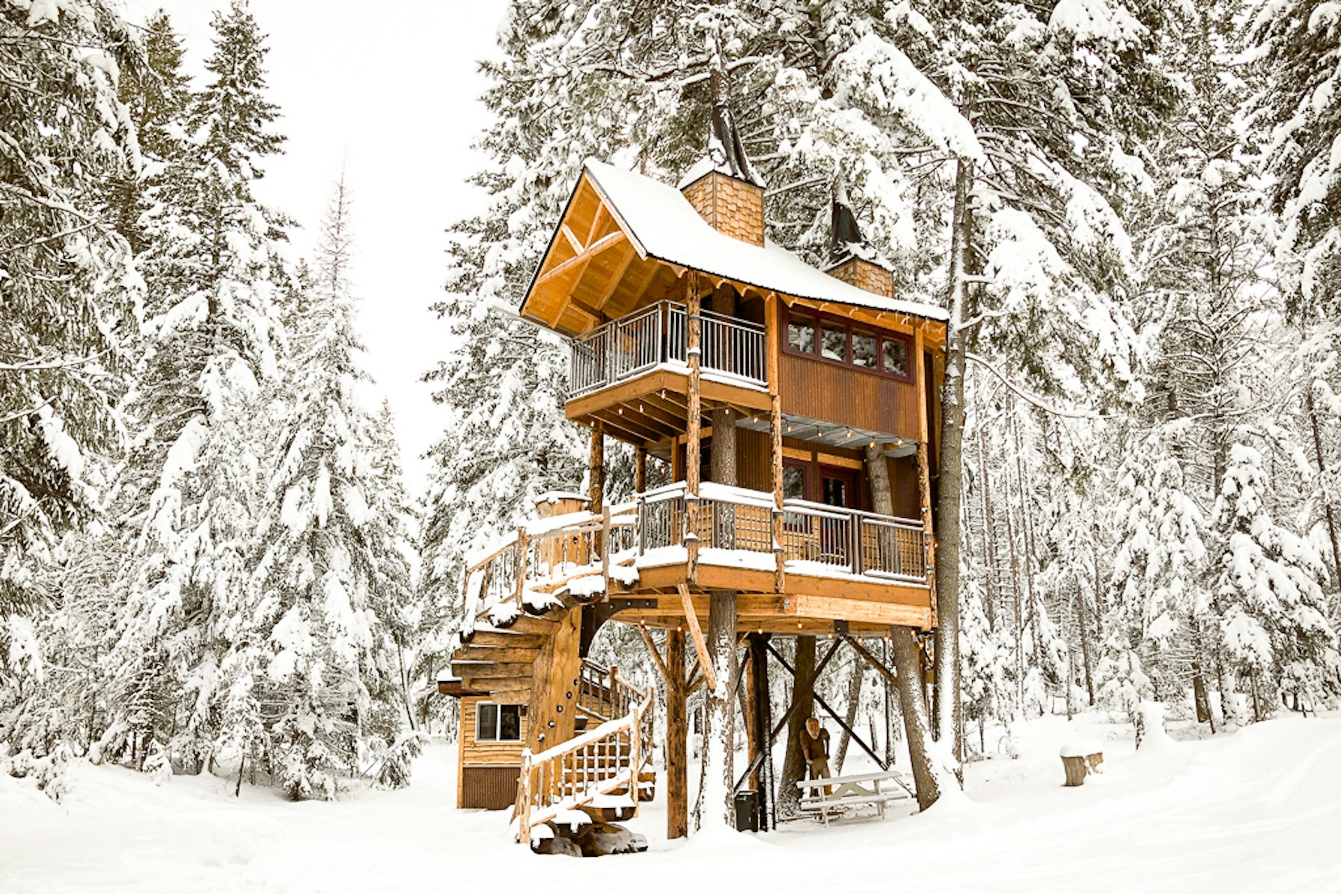 The Meadowlark Treehouse in Montana.jpg