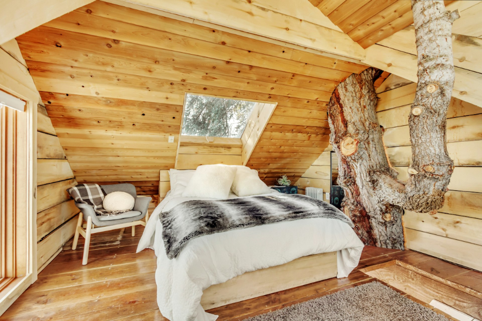 A bedroom in a treehouse in Utah with a tree growing through it