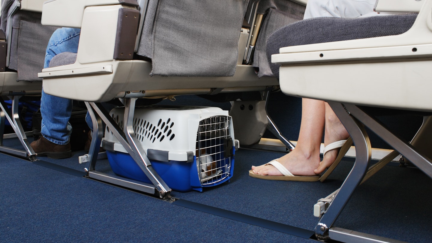 Passenger traveling with their pet dog.  Pet carrier is stowed under the seat.