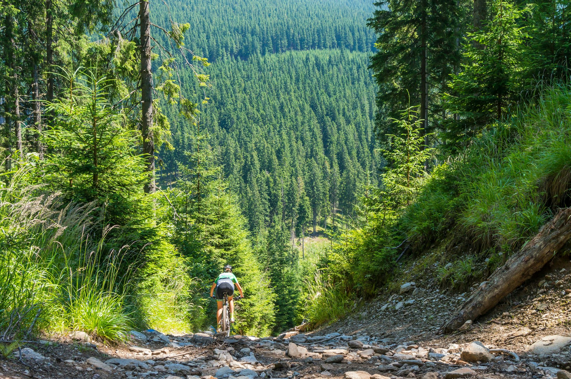Mountain biker on a rocky trail in the Carpathian Mountains