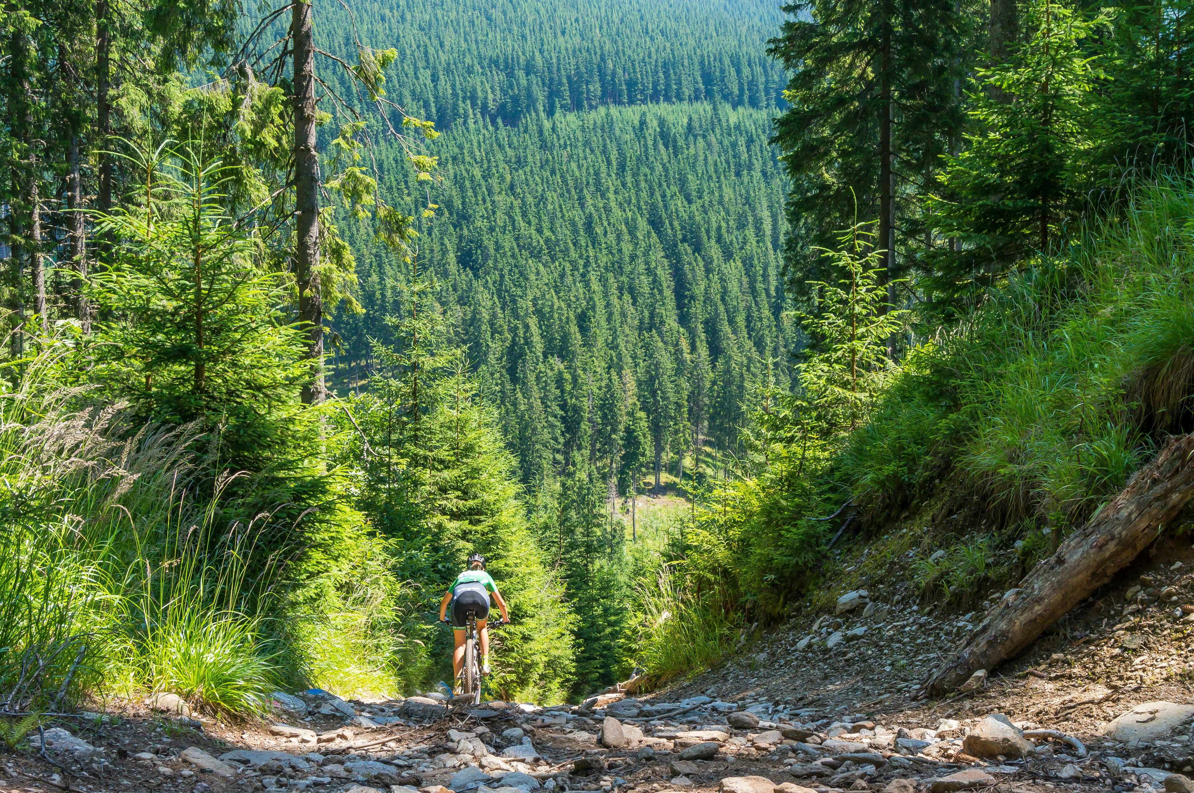 Mountain biker on a rocky trail in the Carpathian Mountains