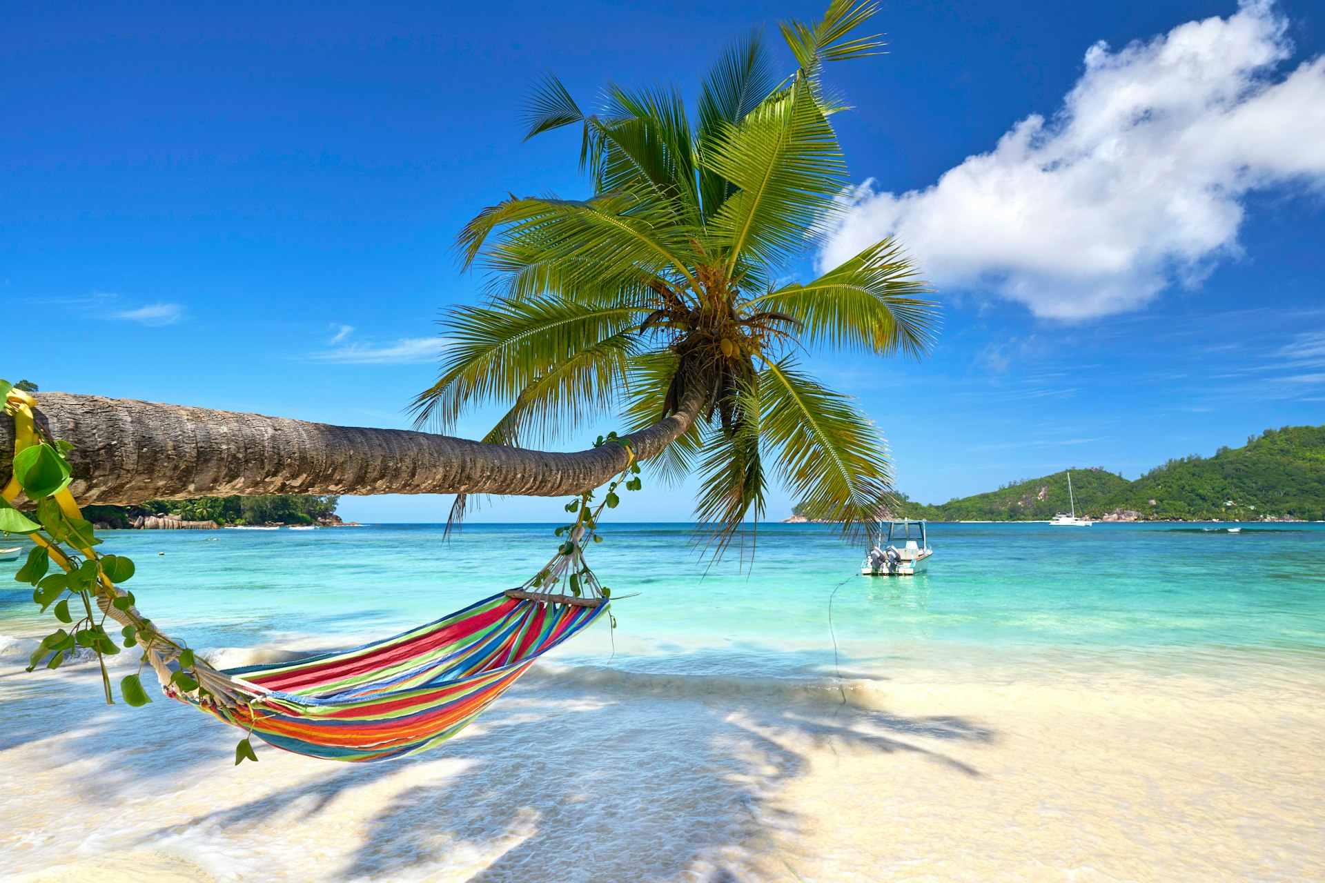 Hammock in the shadow of a coconut palm tree on a white sandy beach