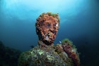 Submerged roman statue. Underwater ancient Roman ruins. Baia (Baiae), Campi Flegrei (Phlegraean Fields), Naples, Campania, Italy