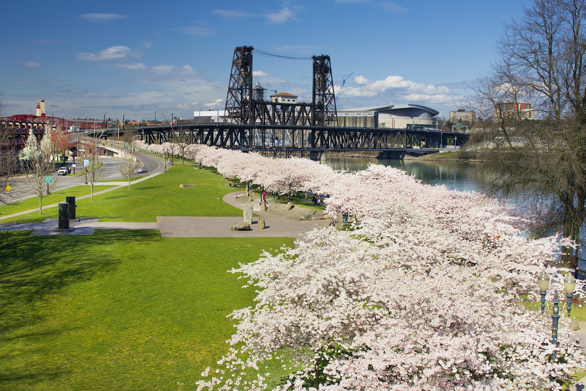 500px foto-ID: 30967941 - Cherry Blossoms vid Portland Oregon Waterfront under våren