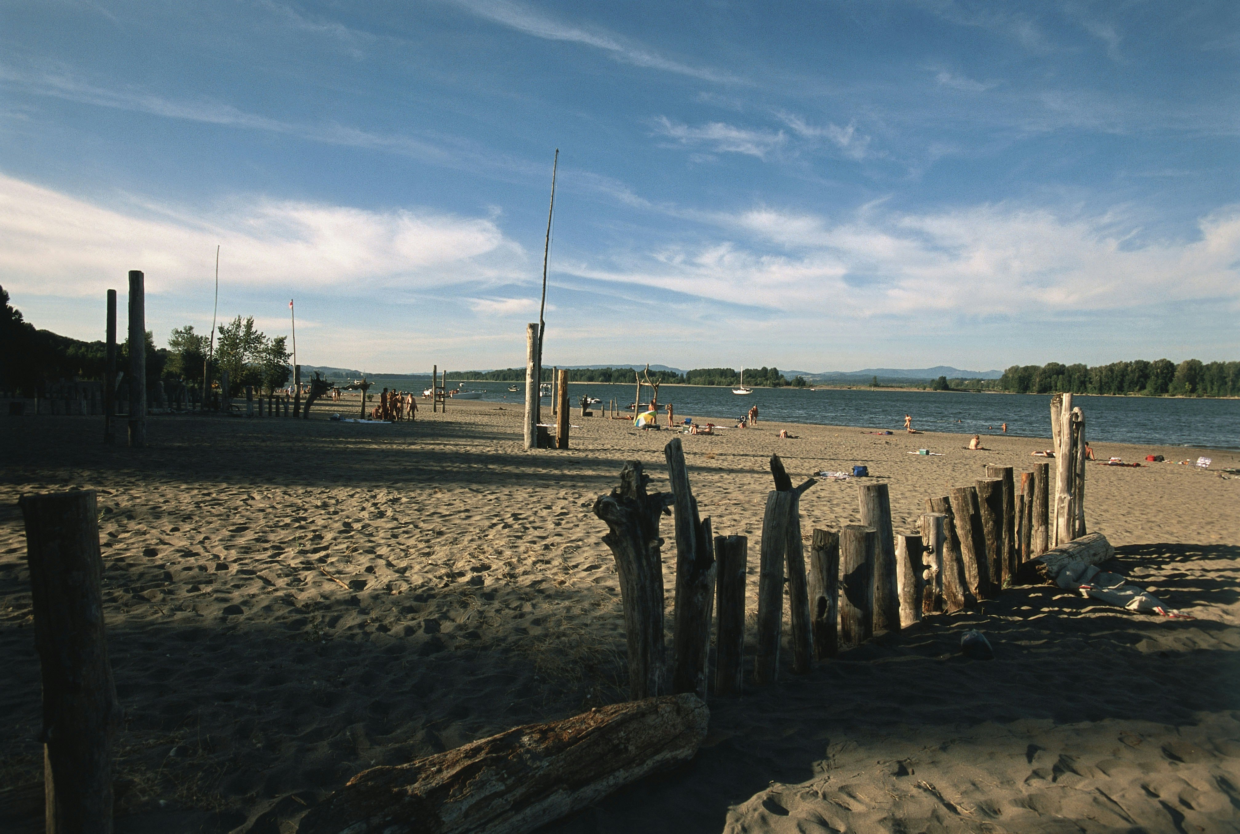 People relaxing near the remains of log breakwaters on a beach