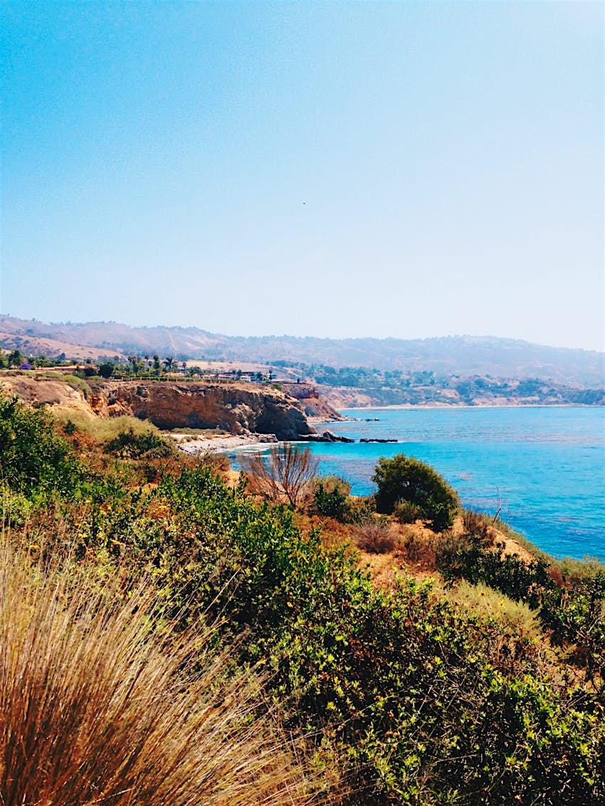 Abalone.jpg Abalone.jpg
