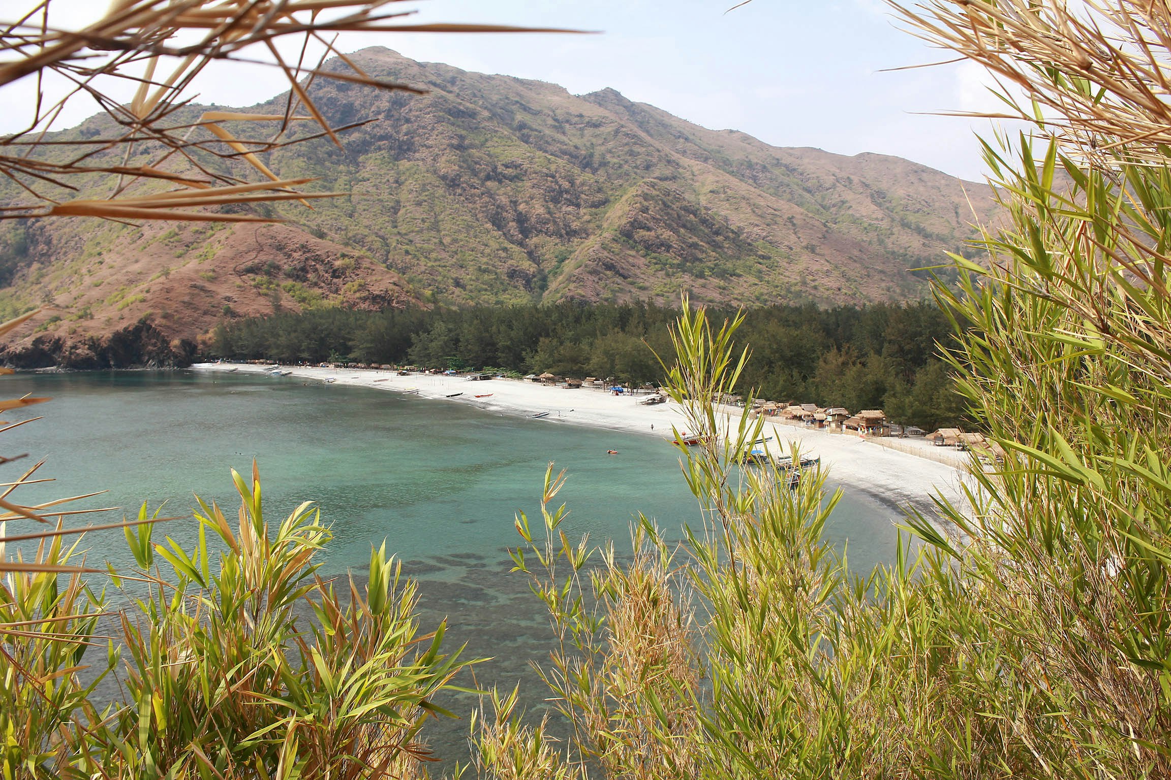A distant view of Anawangin Cove, a crescent-shaped white-sand beach backed by forest.