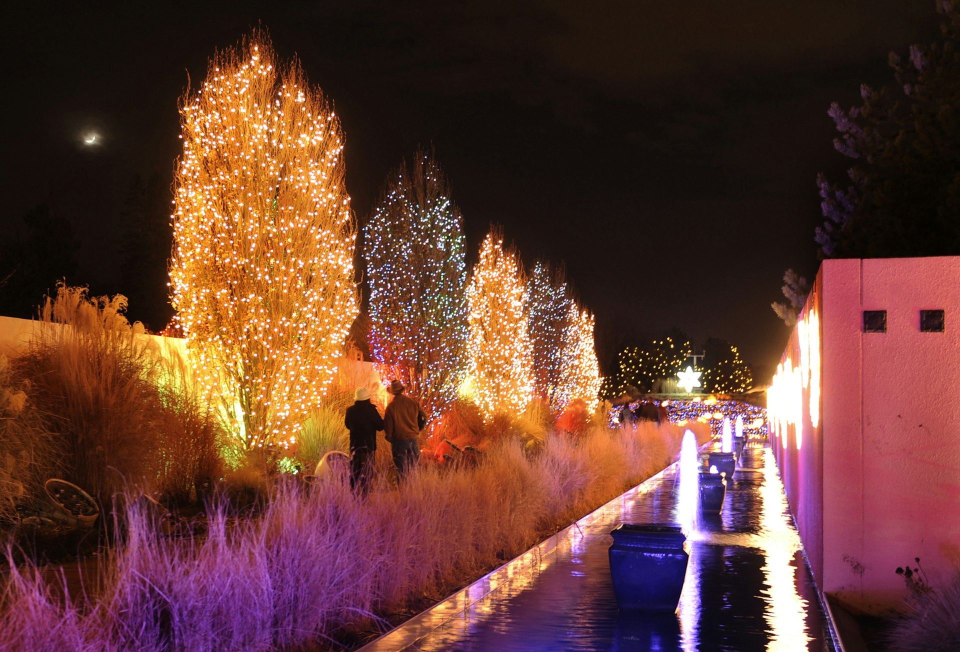 The Denver Botanic Garden's holiday light display called the Blossoms of Light were on display Thursday night, December 9, 2010. More than one million colorful lights adorn the botanic garden's winter beauty. The gardens, located at 1007 York Street, are