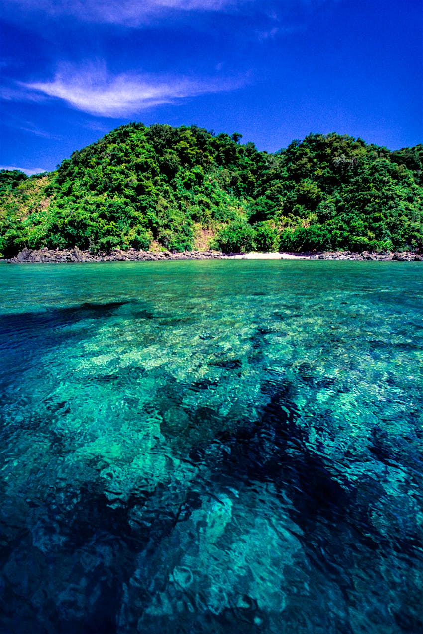 Coral Reef on Catanduanes Island A coral reef is visible beneath the surface of the shallow blue waters of Catanduanes Island. A green, forested island is visible in the background.