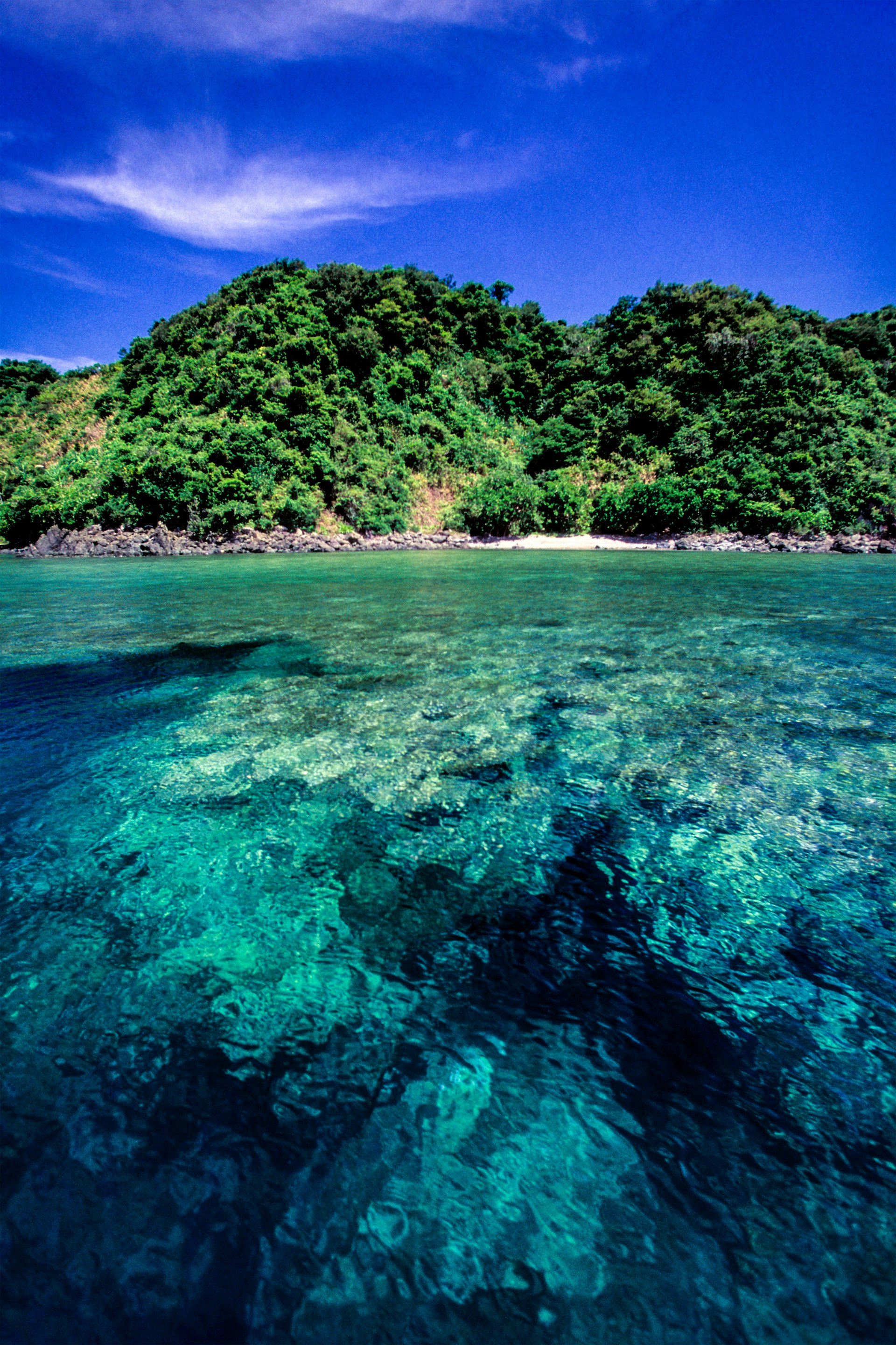 A coral reef is visible beneath the surface of the shallow blue waters of Catanduanes Island. A green, forested island is visible in the background.