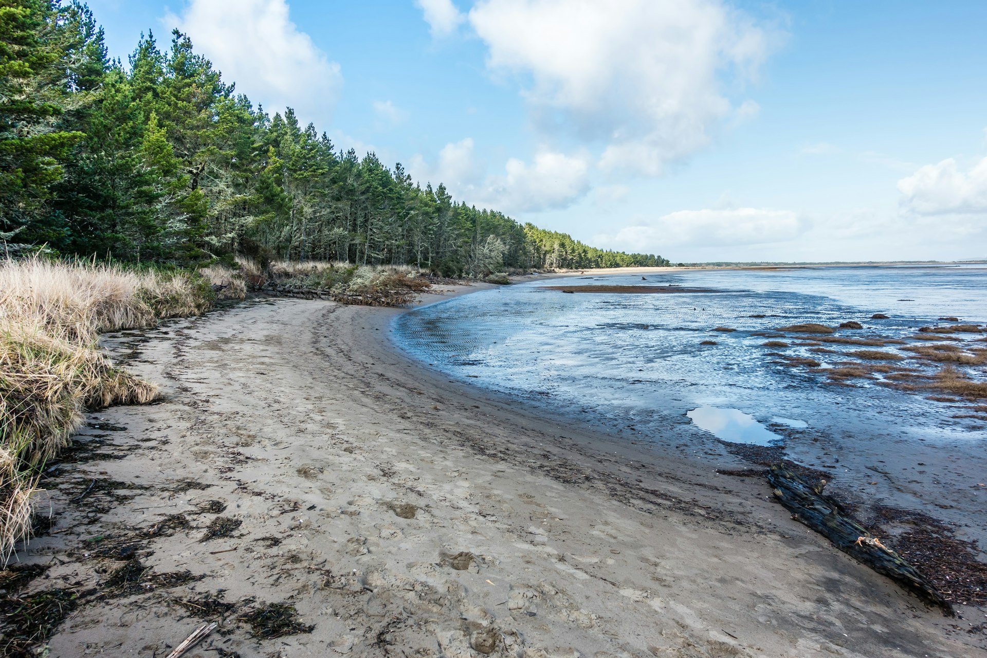 Leadbetter Point Beach