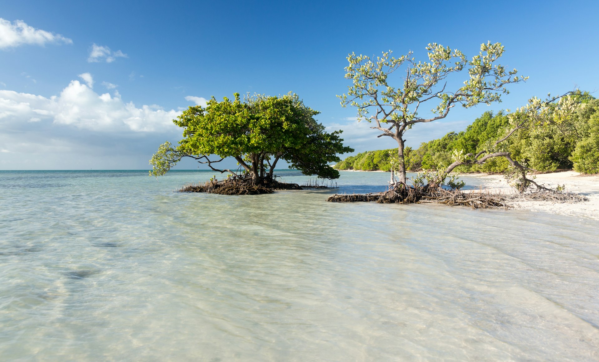 A secluded beach with clear water and green trees lining the coast