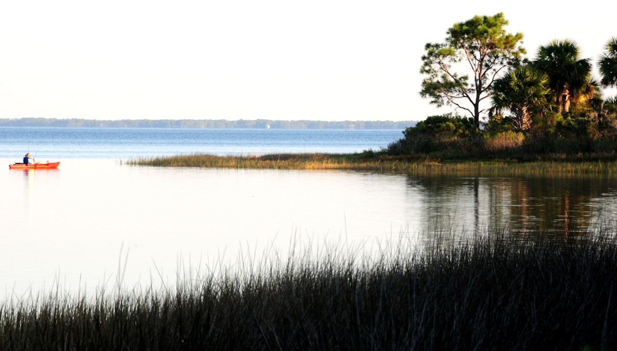 Reeds on lake edge and kayaker in St Joseph Peninsula State Park, Florida.