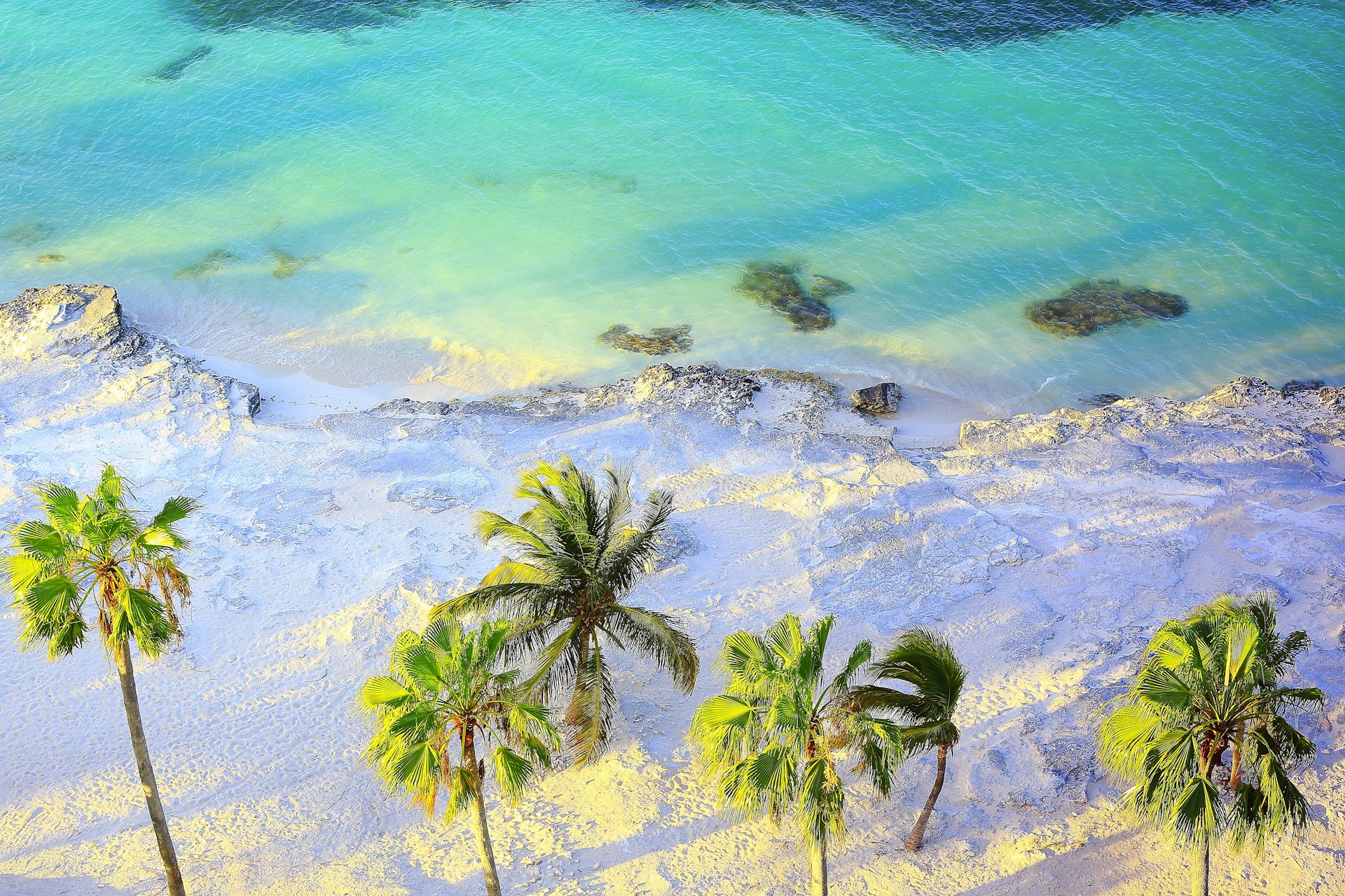 Tropical paradise sunset: Aerial Sunny Sandy caribbean palm trees beach