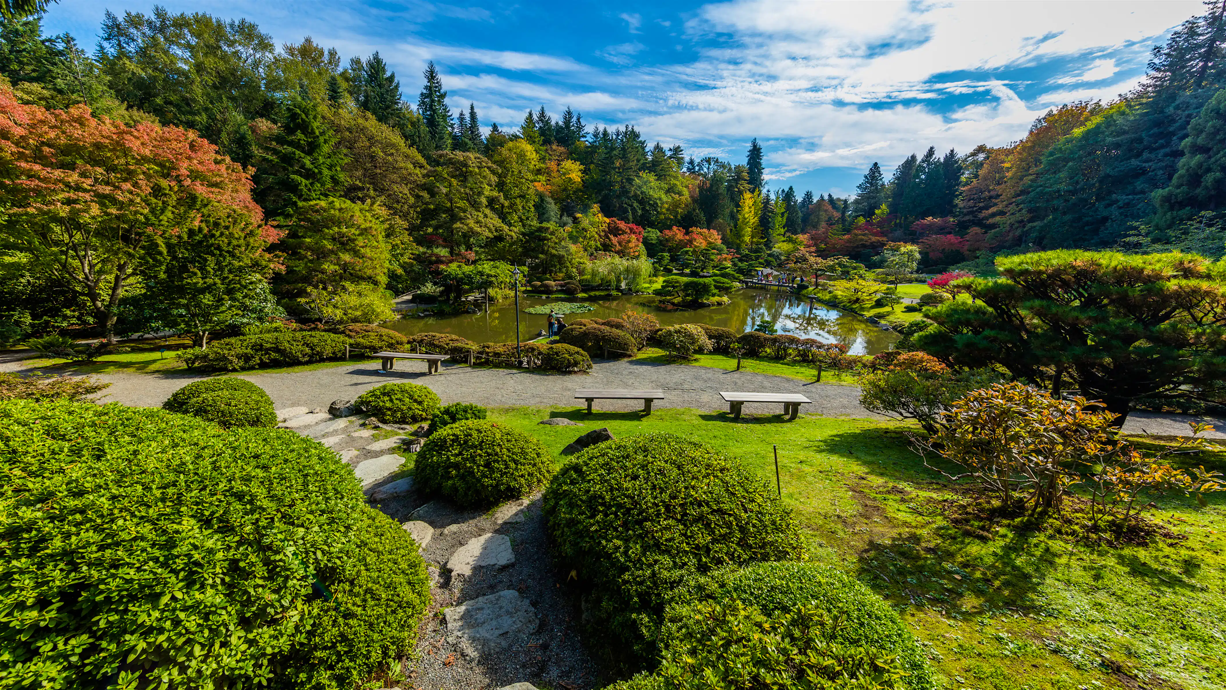 25 free things to do in Seattle - Lonely Planet