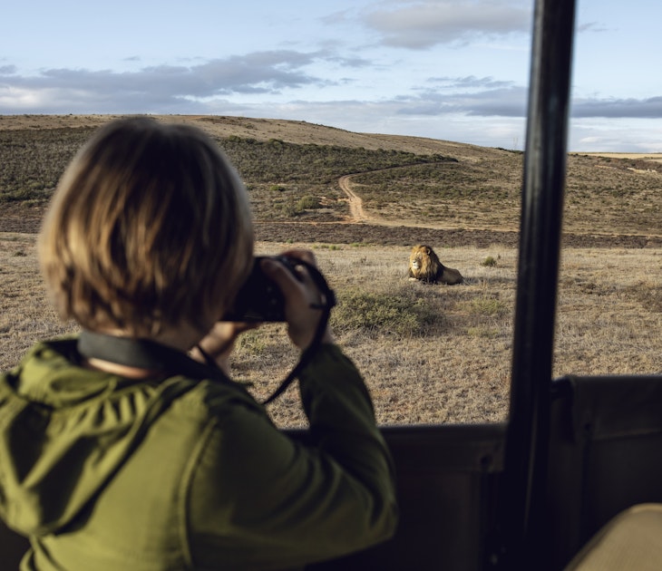 A young girl photographing a lion at Inverdoorn game Reserve in Breede River DC.
