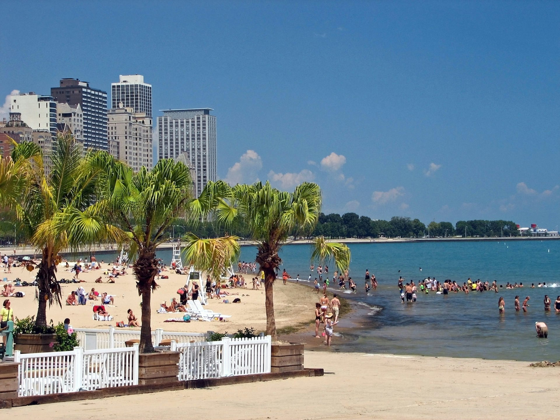 Palm trees lining a sandy stretch of beach. Many people in swimwear are in the water.