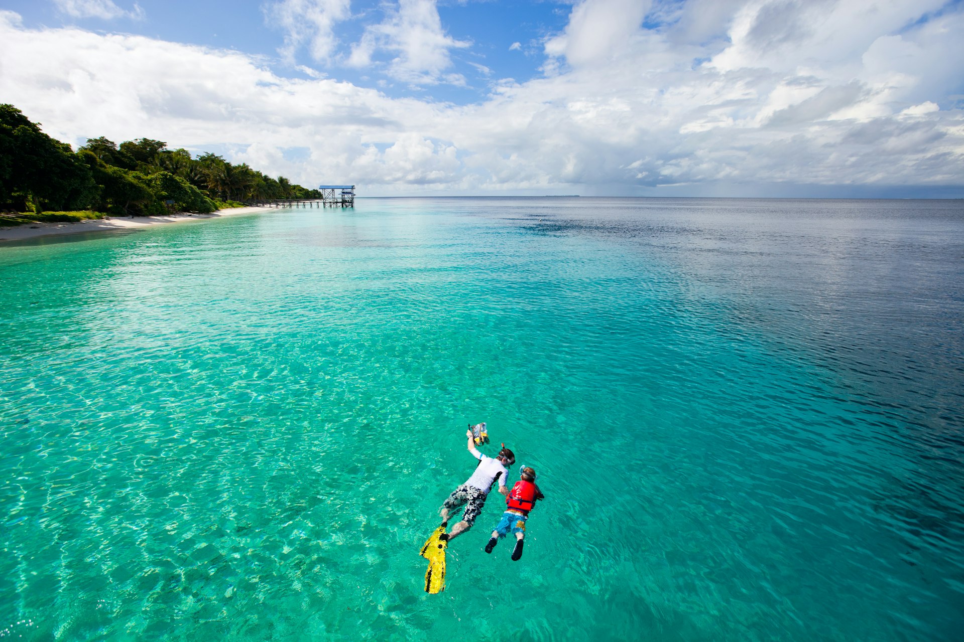 An aerial shot of an adult and child snorkeling in crystal clear water. The land is to their left, covered in vegetation.