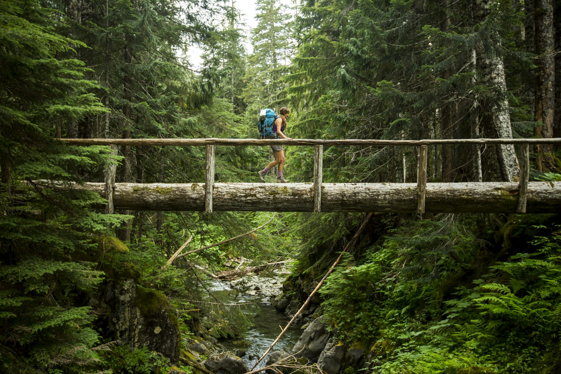 A female hiker walking across a log bridge in the forest