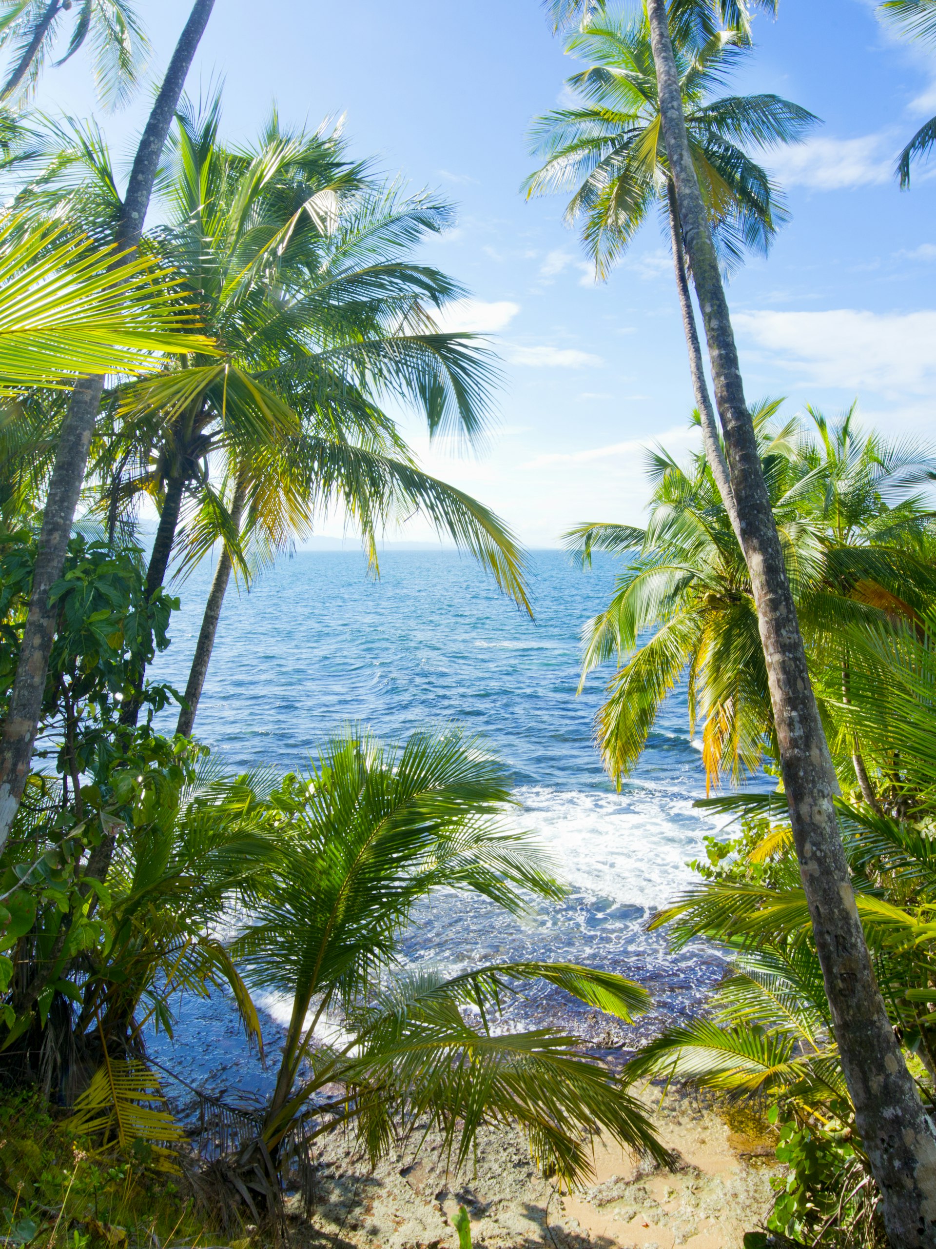 Palm trees frame the Caribbean sea in Manzanillo