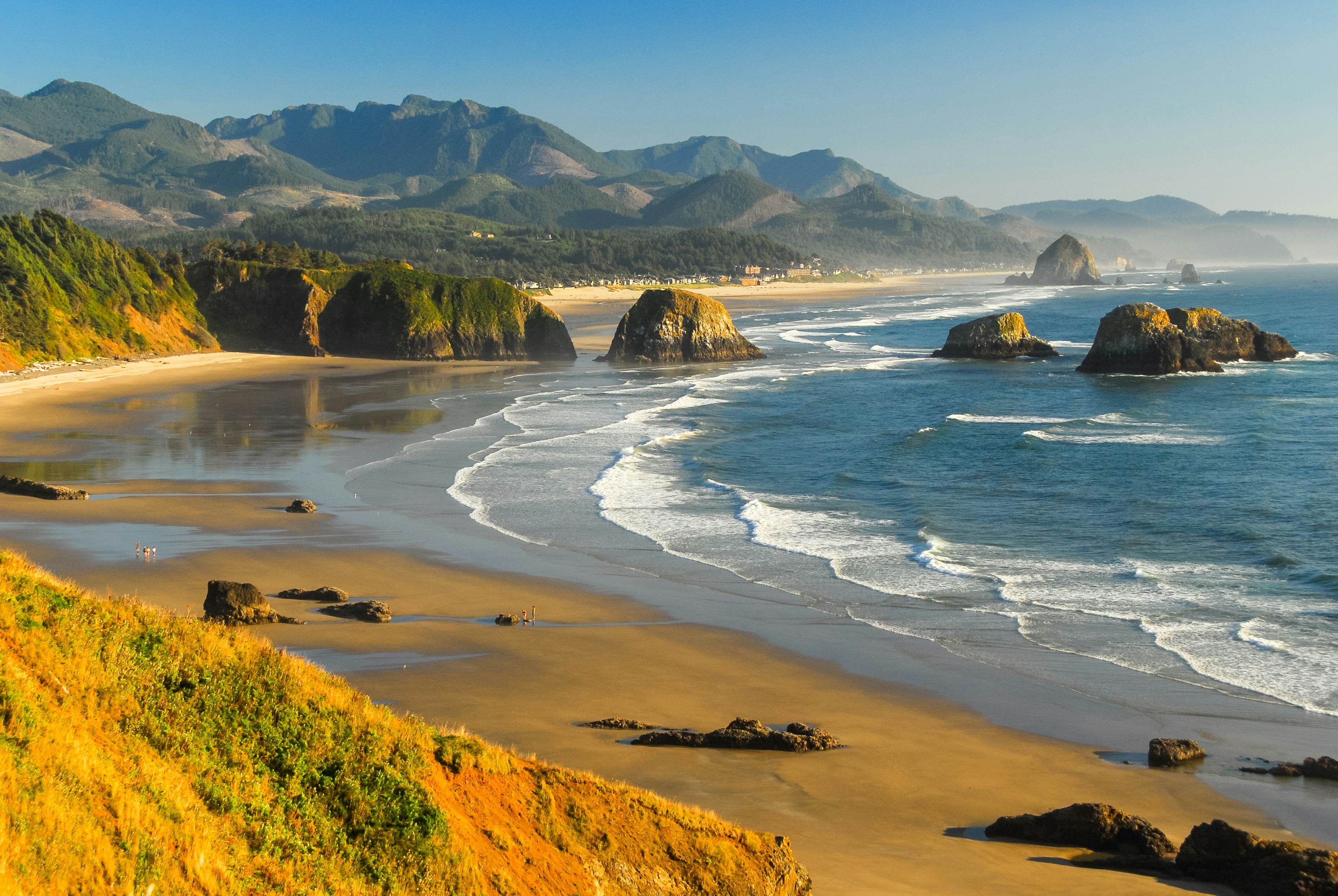 bliver nervøs hårdtarbejdende Skifte tøj The 11 best beaches in Oregon - Lonely Planet