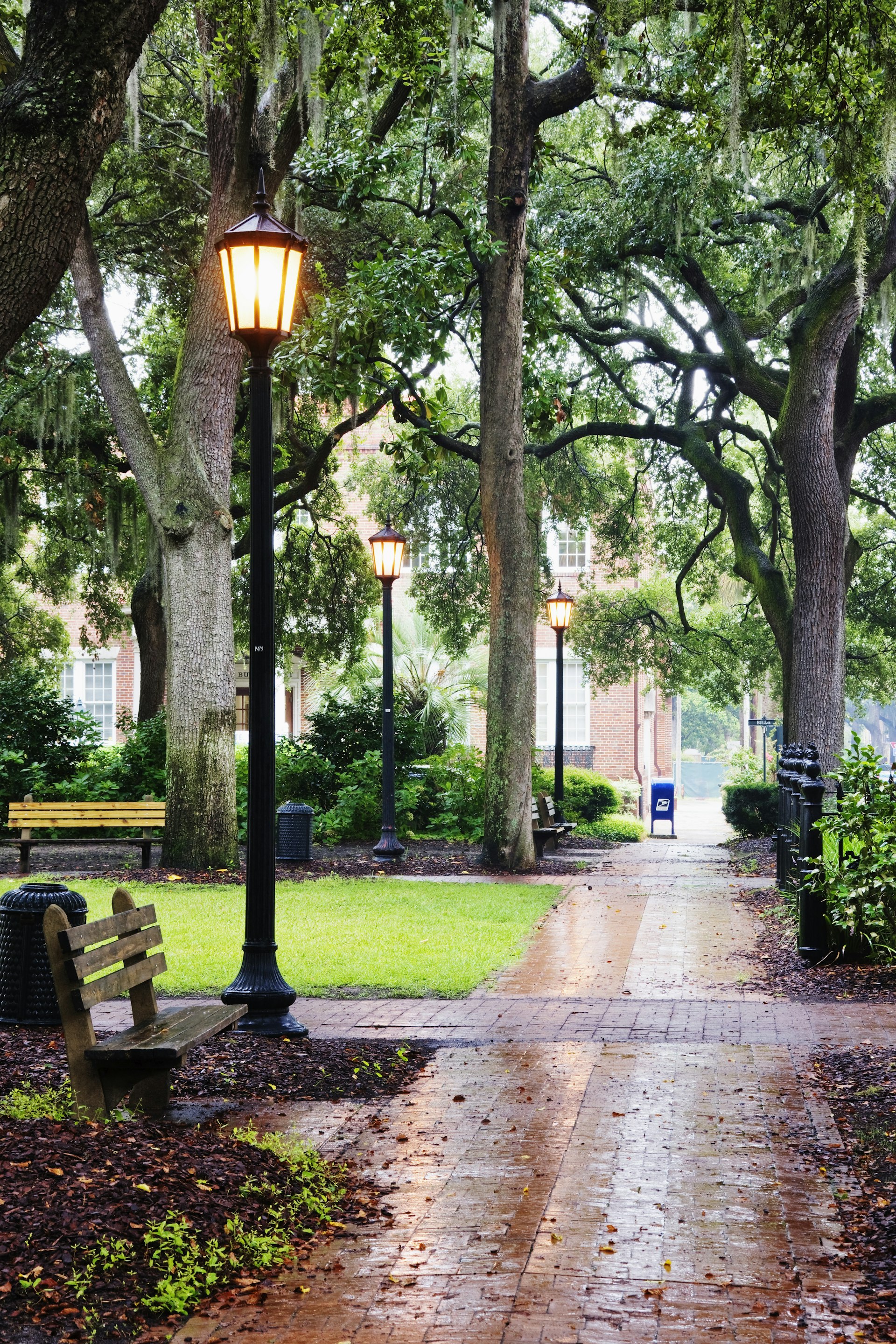 Old-fashioned streetlights line a path through a rainy urban park