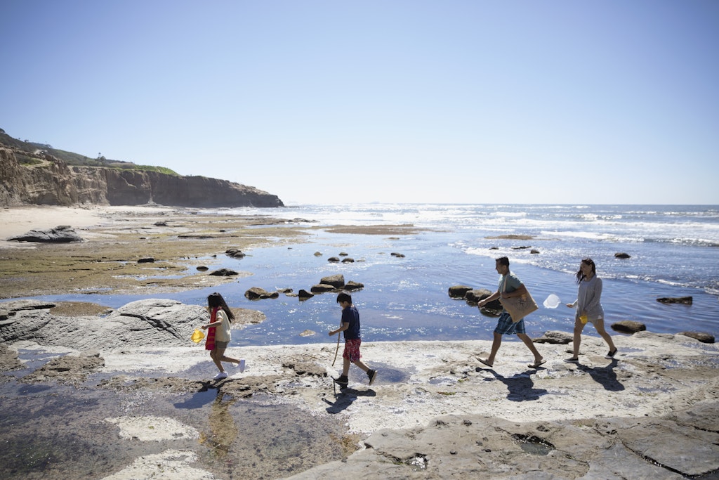 A family of four walking across the rocks on a sunny beach.